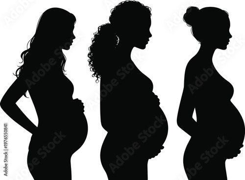 PrintPregnant woman silhouette illustration, maternal health artwork, prenatal care design, diverse pregnancy profile vector, motherhood concept artwork, family planning illustration