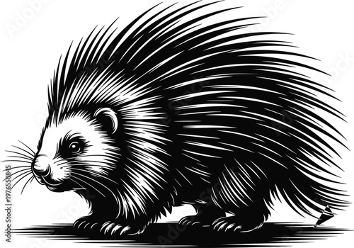 PrintPorcupine silhouette illustration, stylized animal artwork, defensive quills design, wildlife vector drawing, blue shaded creature profile, nature graphic artwork