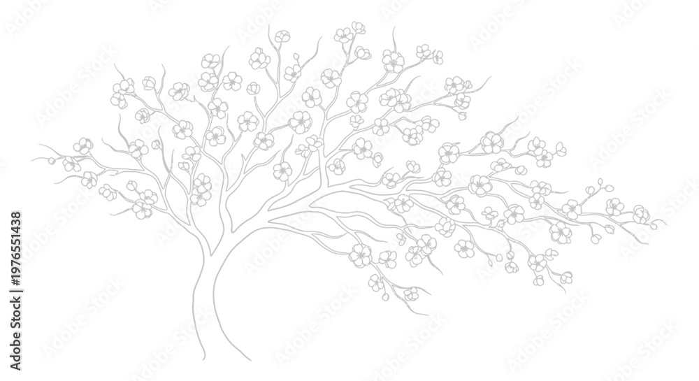 Fototapeta premium Delicate Cherry Blossom Tree Outline, Spring Blooming Branch, Elegant Floral Illustration