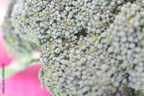 Organic vegetable head texture. Healthy raw ingredient for cooking. Broccoli with selective focus. Details of broccoli with blurred background.
