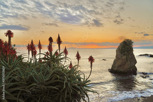 日本の神奈川県、秋谷の立石海岸の夕焼け