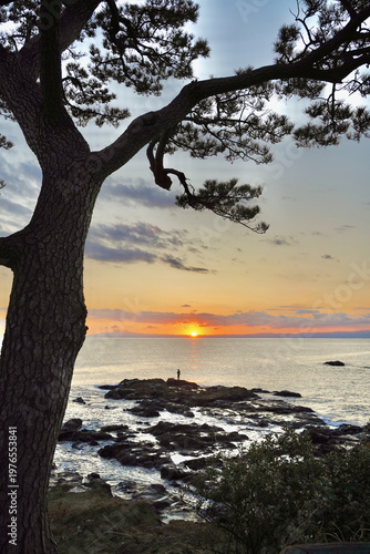日本の神奈川県、秋谷の立石海岸の夕焼け