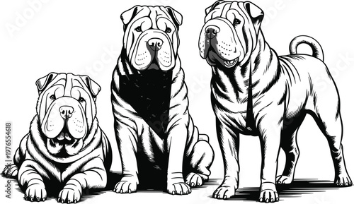 PrintSilhouette Shar Pei dogs illustration, wrinkled skin breed artwork, sitting standing lying poses, black blue vector design for pet lovers