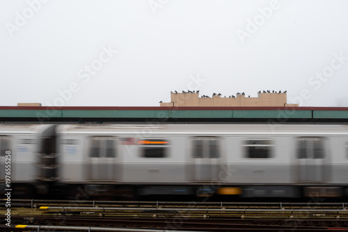 Photography blurred motion subway train moving past elevated station in brooklyn, birds sit