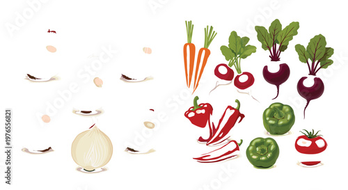 Vegetable illustration set featuring onion, carrot, radish, beetroot, pepper, and tomato with fresh organic food elements in vector style