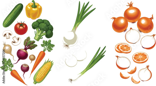 Fresh vegetable and onion illustration set featuring cucumber, broccoli, carrot, corn, scallion, and sliced onion in colorful vector style