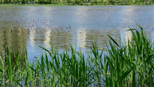 Urban Riverbank Video: Panoramic View of Flowing Clouds and Waterfront Skyline at Dawn and Dusk