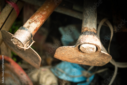 Old rusty shovels and other tools in the garden, stock photo