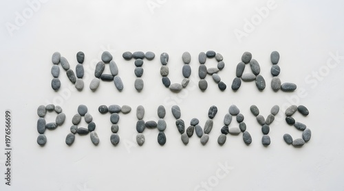 The word NATURAL carved out with intricate, spiraling, organic textures visible within the letters against a clean white background.