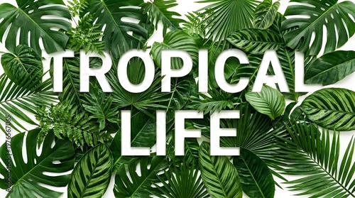 Tropical life text surrounded by lush green tropical leaves. This arrangement evokes a sense of nature's abundance and the vibrant spirit of tropical environments.