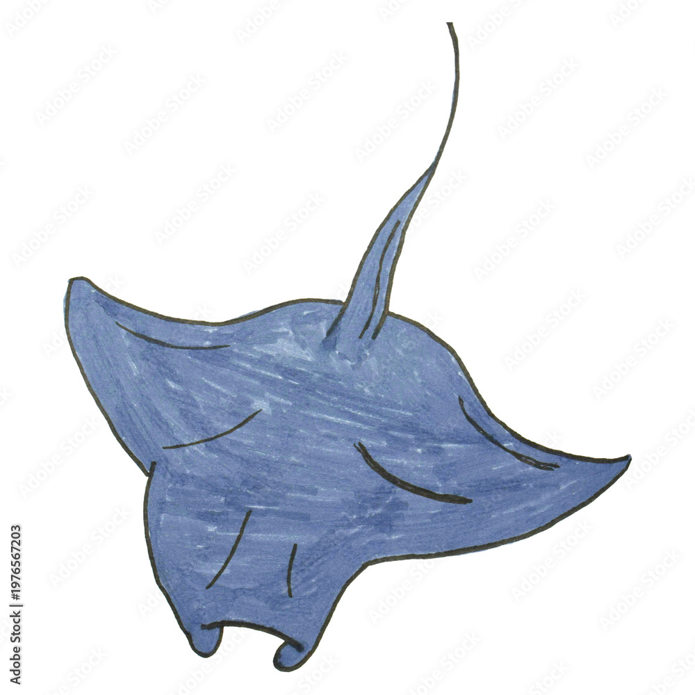 Fototapeta premium Stingray Fish