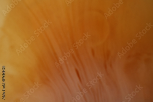 Wallpaper Mural Top view abstract of black coffee on milk Torontodigital.ca