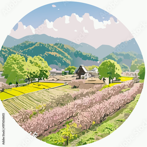Peaceful Spring in a Mountain Village: People Cycling along a Path of Cherry Blossoms, Rapeseed, and Lavender
