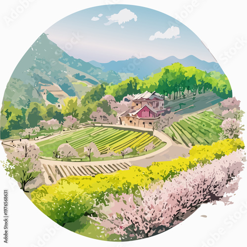 Peaceful Spring in a Mountain Village: People Cycling along a Path of Cherry Blossoms, Rapeseed, and Lavender