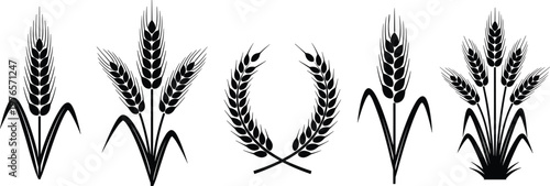 Wheat silhouette illustration, agriculture vector artwork, farming crop design symbol, harvest graphic artwork, rural food icon set