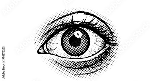 Closeup of human eye with detailed eyelashes and iris