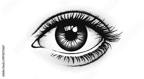 Closeup of human eye with detailed eyelashes and iris