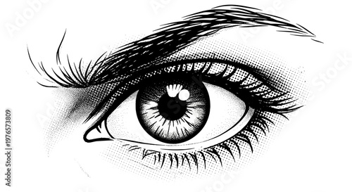 Closeup of detailed human eye with eyelashes and iris in black and white