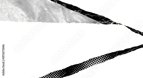 Closeup of a black and white feather with detailed texture