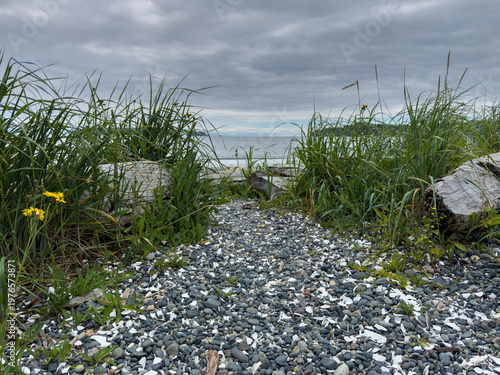 Grass, stones and rocks on a cloudy day at the beach.