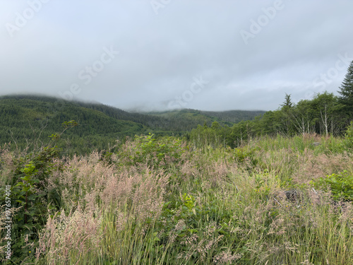 Meadow, forests and cloud covered mountains