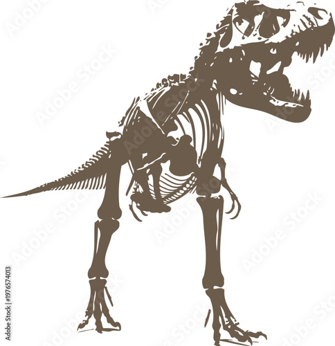 Tyrannosaurus rex skeleton silhouette in brown earth tone isolated on transparent background for t shirt design and museum educational illustration.