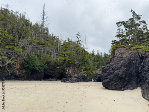 Tree covered sea stacks at San Josef Bay on Vancouver Island