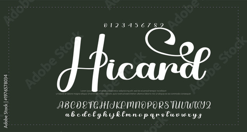 Script Brush Font Type Font lettering handwritten. vector illustration  