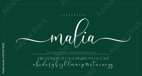 Handwritten Signature Editable Text Effect Template 