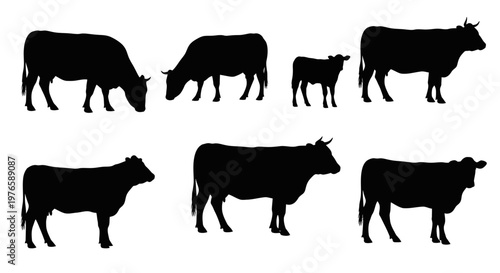Black silhouettes of various farm animals including cows, a calf, and bulls, in a clean vector style