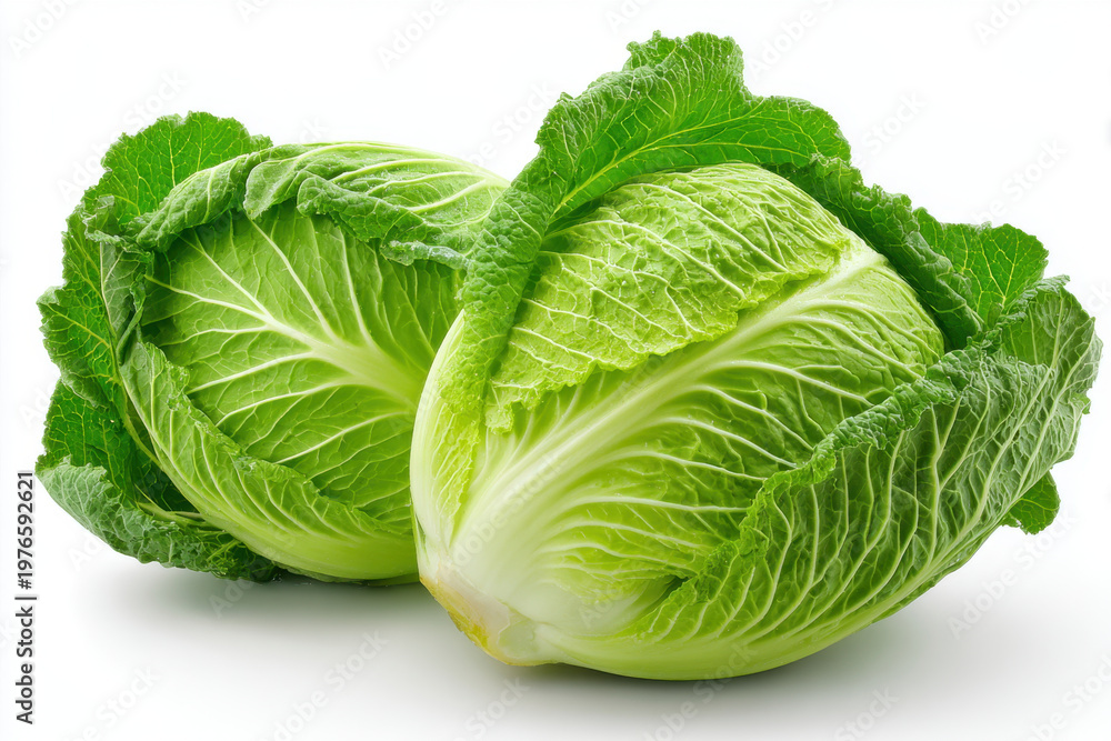 Fototapeta premium Fresh chinese cabbage on white background, green leafy vegetable with crisp texture and side view