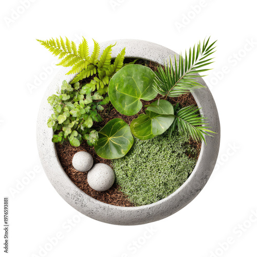 Serene Botanical Arrangement: A top-down view of a tranquil botanical arrangement, showcasing a harmonious blend of diverse green foliage within a round stone container.