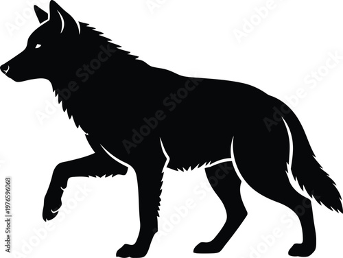 Black wolf silhouette walking isolated on white background for logo emblem design or hunting icon