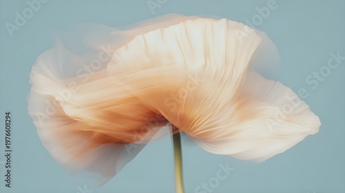 Ethereal Peach Poppy Bloom with Motion Blur