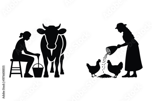 Farmer milking cow and feeding chickens with agriculture livestock countryside