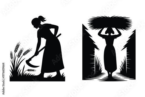 Women harvesting wheat with a sickle and carrying crops bundle on head