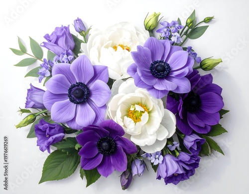 Beautiful Arrangement of Purple and White Anemone Flowers with Green Leaves.