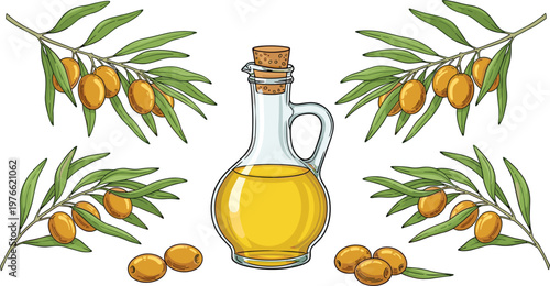 Extra virgin olive oil vector set. Vintage engraving illustrations of glass cruet bottle and green olive branches for Mediterranean food and cosmetic branding.