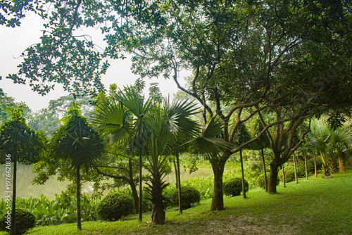 A tranquil tropical park with palm trees and a shaded walkway in the morning light.