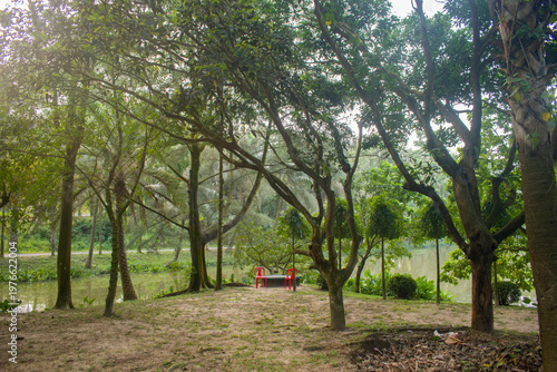 Two red chairs by a tranquil park pond under trees on a sunny afternoon.