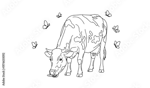 Minimal black white spotted cow grazing butterflies vector