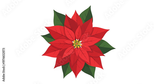 Vibrant red poinsettia flower with green leaves, perfect for Christmas decorations.