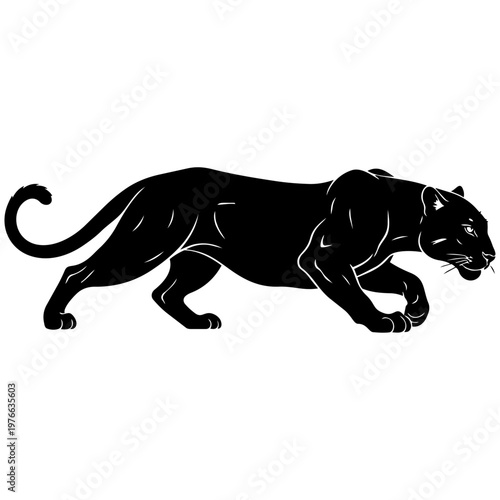 A black panther is walking to the right isolated on transparent background, Vector