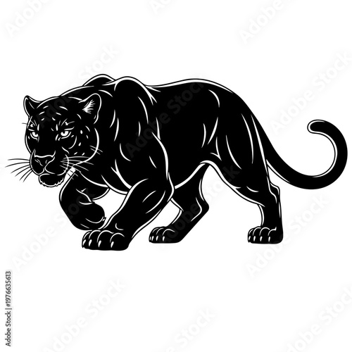 A black panther is shown in a walking position isolated on transparent background, Vector