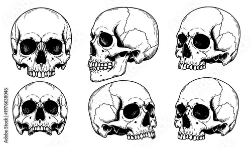 A set of six black and white skull illustrations in different angles