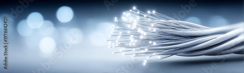 Fiber Optic Cable: A close-...