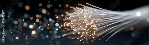 Fiber Optic Brilliance: A c...