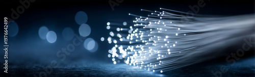 Fiber Optic Strand: A close...