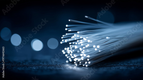 Illuminated Fiber Optic Cab...