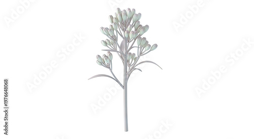 3D Render of a Fleshy Plant with Buds